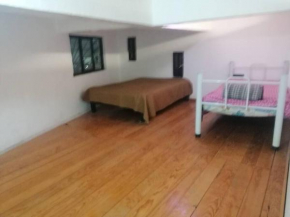 3 tias departamento loft